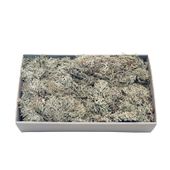 Grey Moss w/Tray (500gr) (1/6)