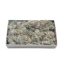 Grey Moss w/Tray (500gr) (1/6)
