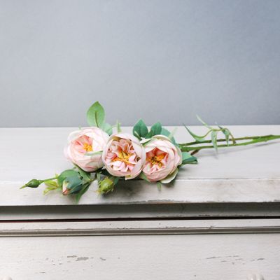 Tintagel Vintage Hedgerow Rose Light Pink (24/240)
