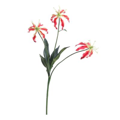 Gloriosa Spray w/3 Flowers Red (50cm)