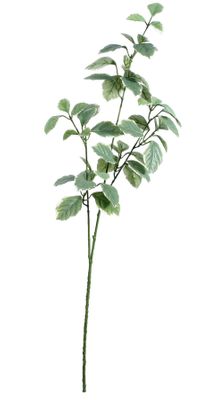 Euonymus Leaves Spray Light Green (91cm)