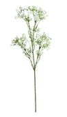 Baby Breath Spray Green (74cm)