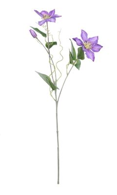 Real Garden Clematics Purple (76cm)