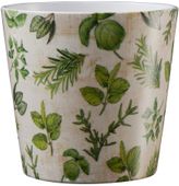 Dallas Herbs 14cm ceramic pot - herbs nature