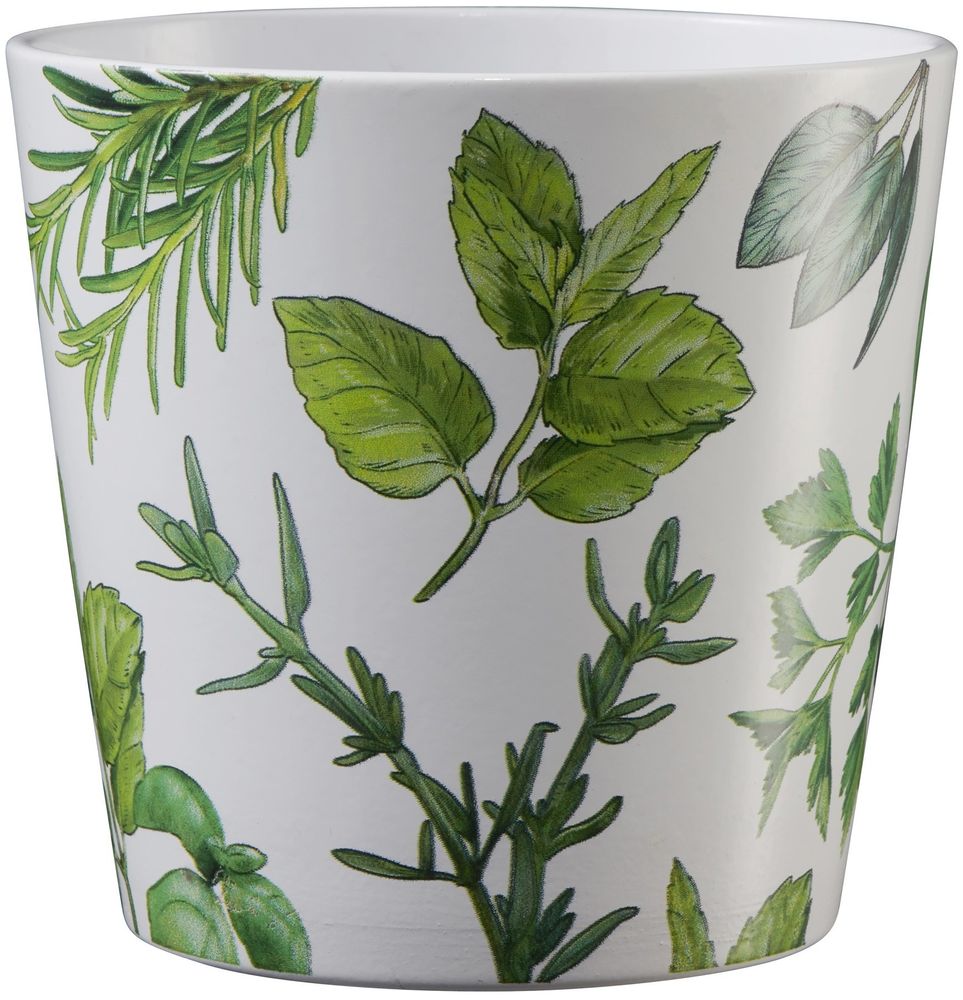 Dallas Herbs 14cm ceramic pot herbs and white APAC
