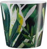 Dallas Botanic 14cm ceramic pot - monstera