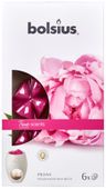 Fragrance wax melTrue Scents pck6  True Scents - Peony