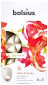 Fragrance wax melts pck6  True Moods NEY - New Energy