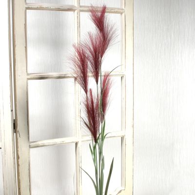 Pampas Grass Red (145cm)