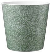 Dallas Botanic Ceramic Pot 16cm Floral Green