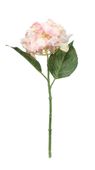 Fantasia Hydrangea Pick Pink