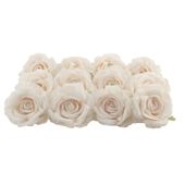 Arundel Rose Head Cream (x 12 heads)