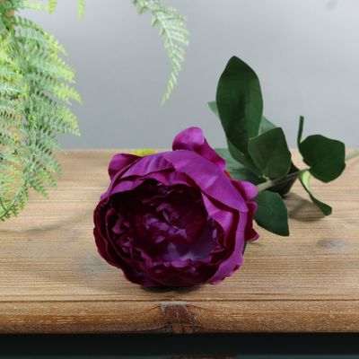 Arundel Garden Peony Purple (24/192)