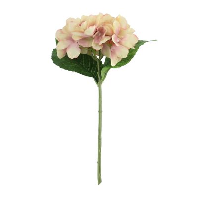 Arundel Hydrangea Cream Pink (24/144)