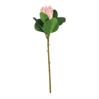 Protea Pink (51cm)(12/192)