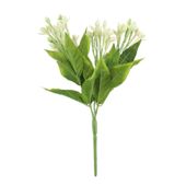 White Jasmine Bush (36/432)