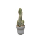 11" Potted Cactus x 5 (6/36)