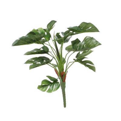 Split Philo Plant (38cm)