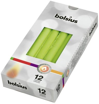 Tapered Candle, Individually wrapped in cello bx12 - Lime