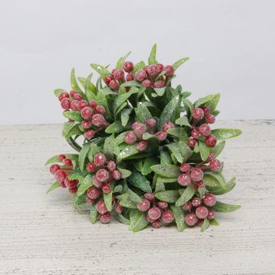 berry bunch red frosted with leaves