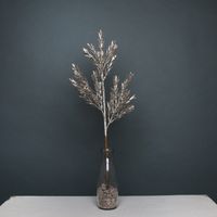 Glitter Ruscus spray Champagne