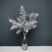 Glitter fern bush Silver
