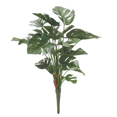 Split Philo Plant (46cm)