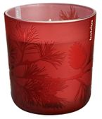 Scented glass 97/91 Warm Feeling