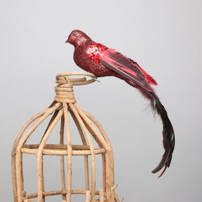 Red Paradise Bird w/clip