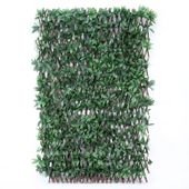 Exterior UV Resistant Choisya Expandable Trellis (1/4)
