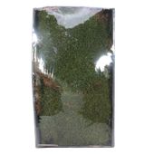 Green Moss w/Tray (Natural) (500gr) (1/6)