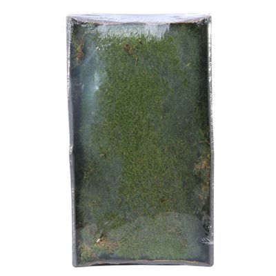 Green Moss w/Tray (Preserved Green) (500gr) (1/6)