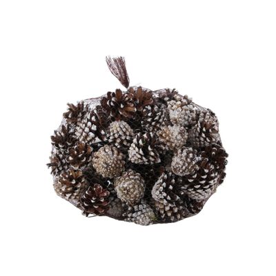 White Tipped Pinus Silvesters Cones (1kg) (1/6)