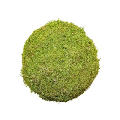 10cm Flat Moss Ball (Preserved Green) (1/72) 