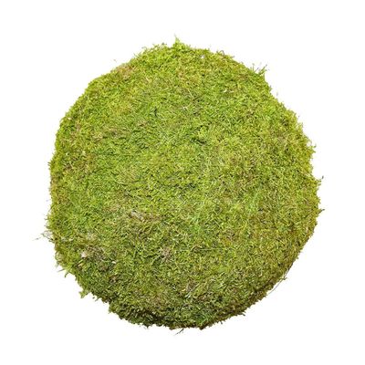 15cm Flat Moss Ball (Preserved Green) (1/27) 