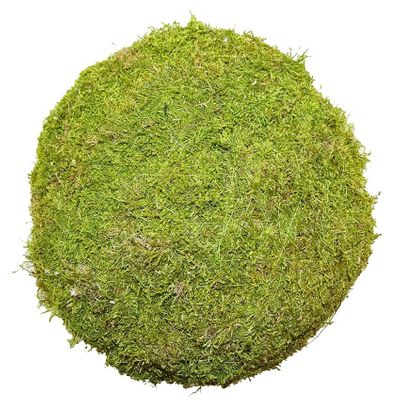 20cm Flat Moss Ball (Preserved Green) (1/8) 
