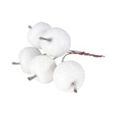 Frosted Apple Pick White (12/120)