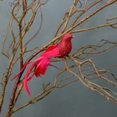 Pk2 x 18cm Red Glitter Bird w/Feathers & Beads w/clip
