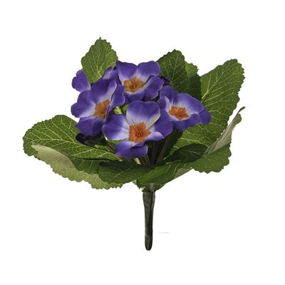 Primula Bush Purple - 19cm