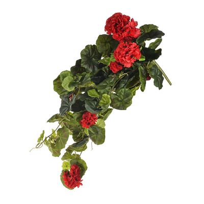 Geranium Bush Vines Red/Black