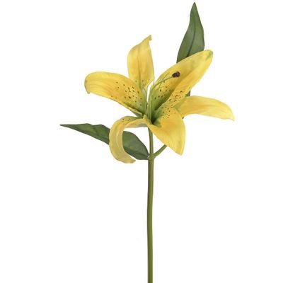 Casablanca Lily Yellow - 15" 