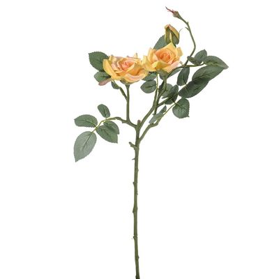 Jade Royal Rose x3 Yellow - 64cm