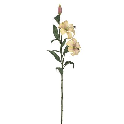 Lily x3 Lt Pink - 85cm