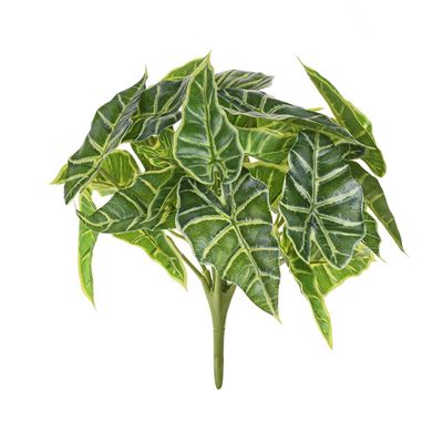 Caladium Bush x9 UV - 25cm 