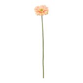 Single Gerbera Peach - 72cm