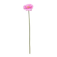 Single Gerbera Purple - 72cm