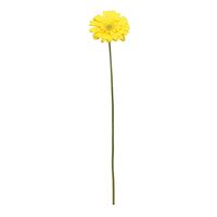 Single Gerbera Yellow - 72cm