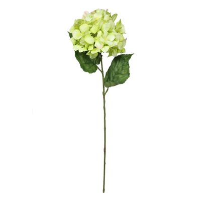 Hydrangea With 2 Lvs Lime - 27" 