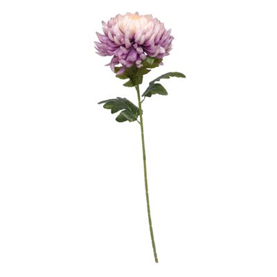 Chrysanthemum Lavender (12/144)