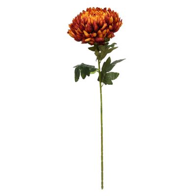 Chrysanthemum Dark Orange (12/144)